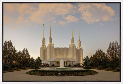 Washington DC Let Truth Prevail