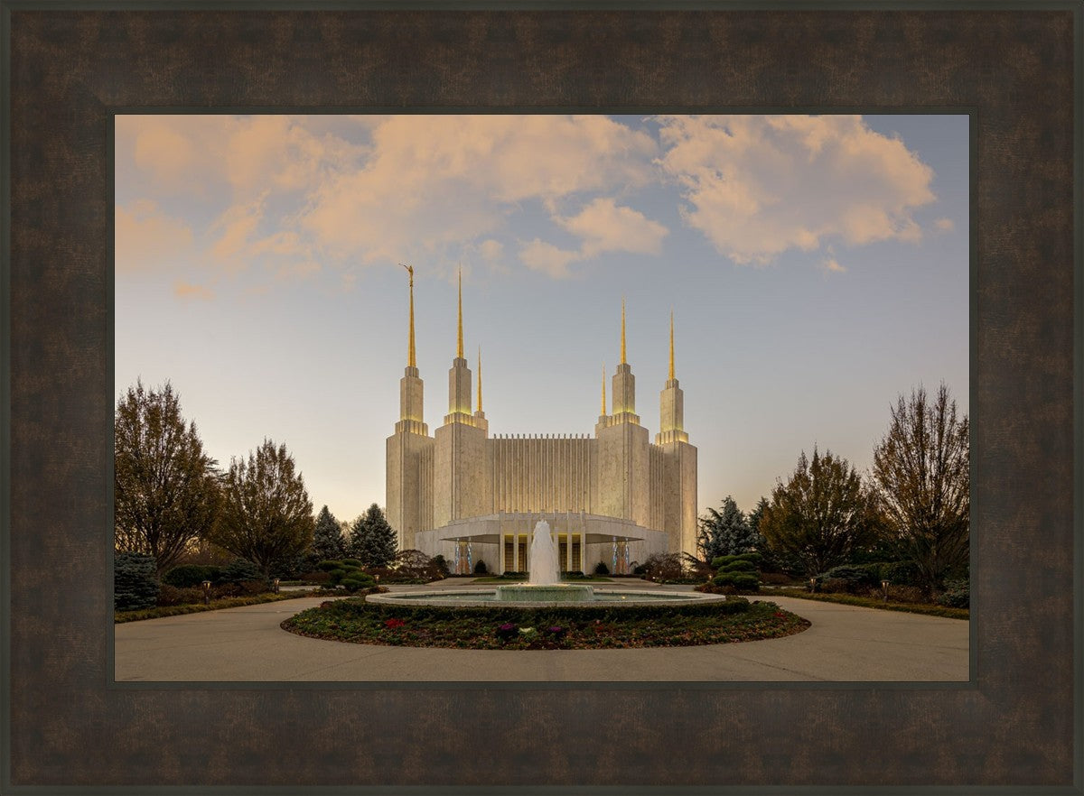 Washington DC Let Truth Prevail