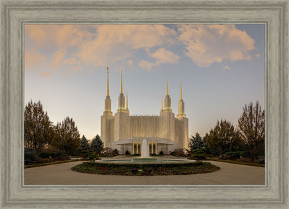 Washington DC Let Truth Prevail