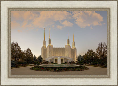 Washington DC Let Truth Prevail