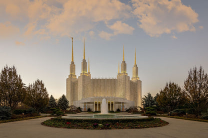 Washington DC Let Truth Prevail