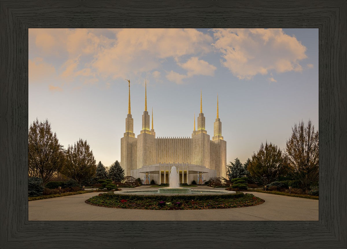 Washington DC Let Truth Prevail