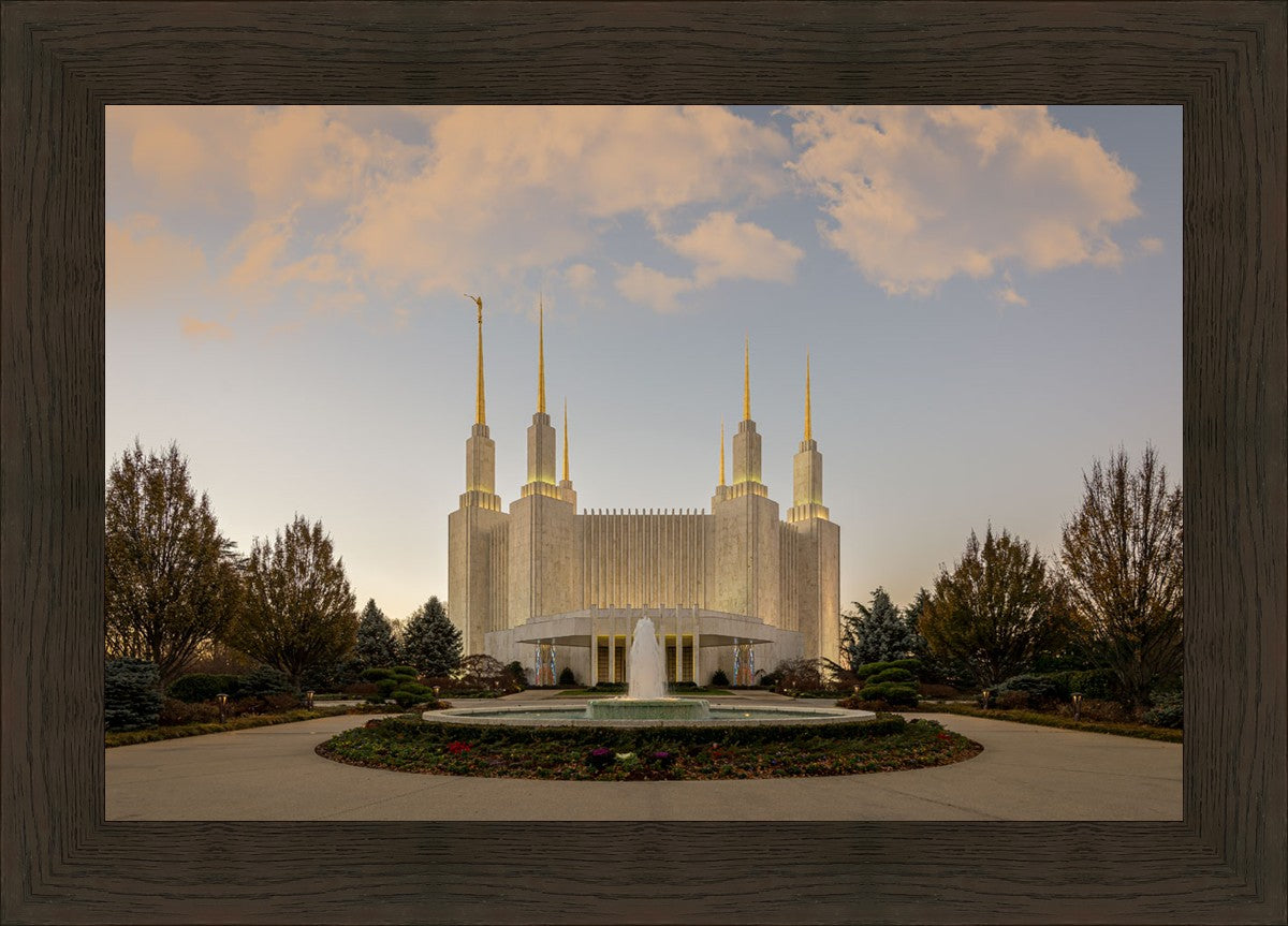 Washington DC Let Truth Prevail