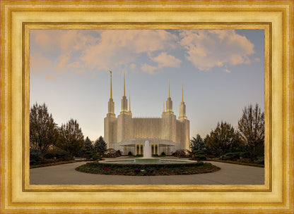 Washington DC Let Truth Prevail