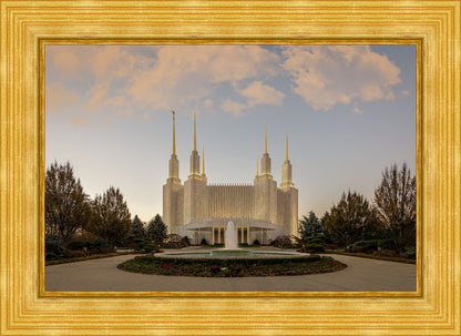 Washington DC Let Truth Prevail