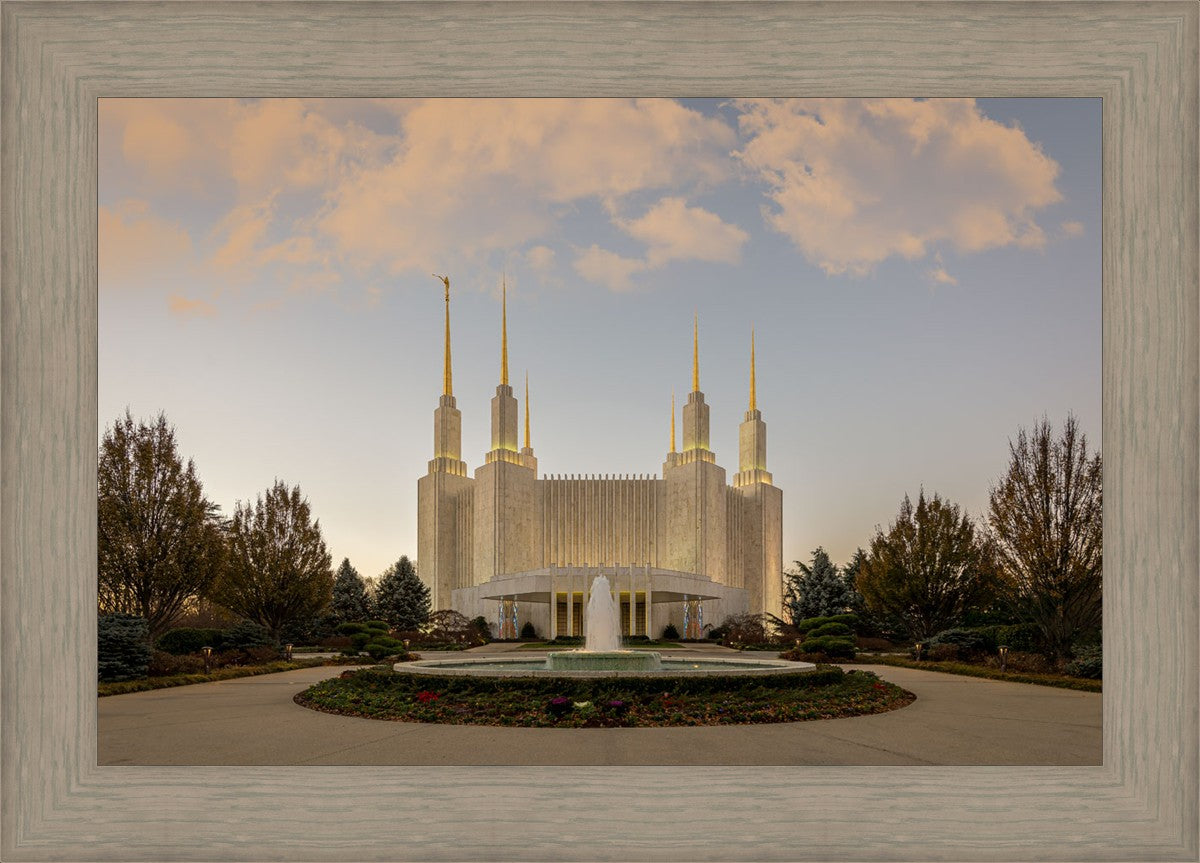 Washington DC Let Truth Prevail