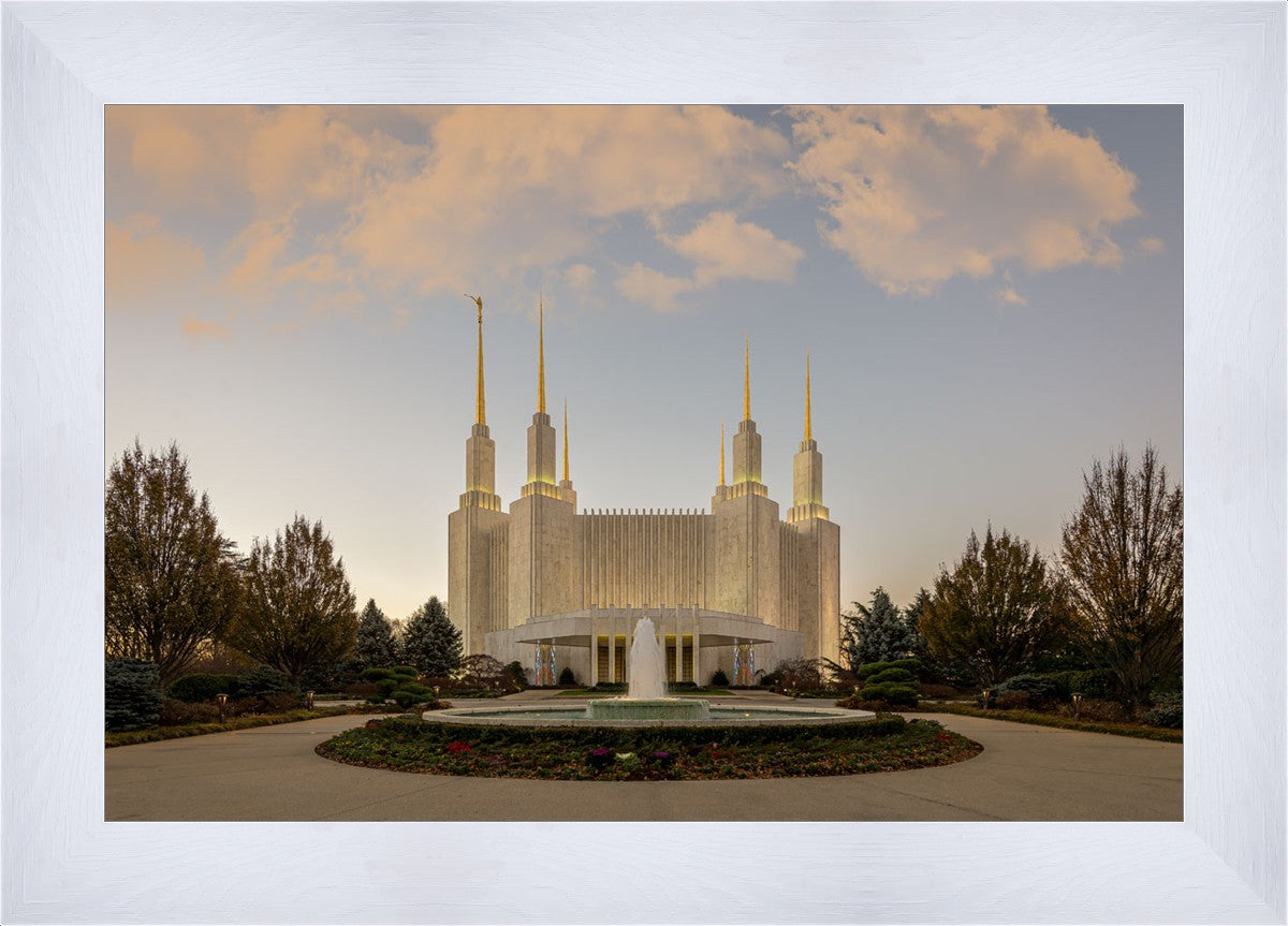 Washington DC Let Truth Prevail