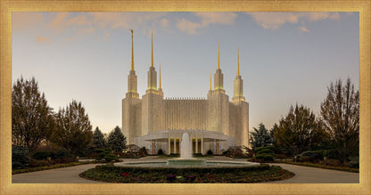 Washington DC Let Truth Prevail