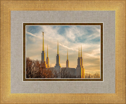 Washington DC Golden Hour