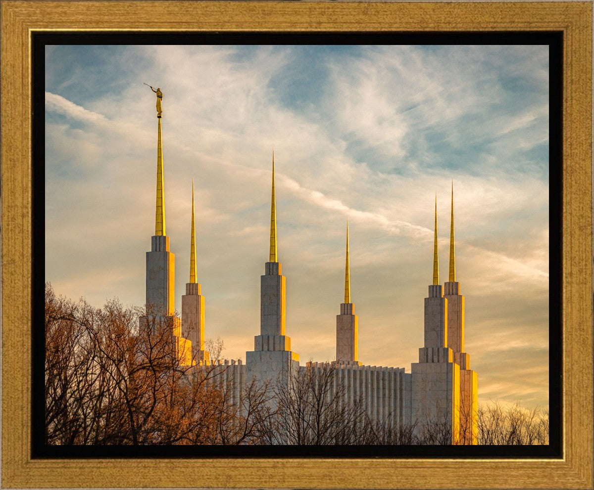 Washington DC Golden Hour Gallery Wrap