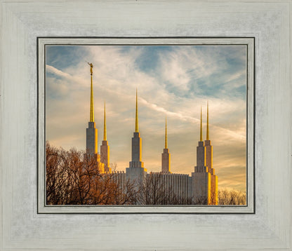 Washington DC Golden Hour