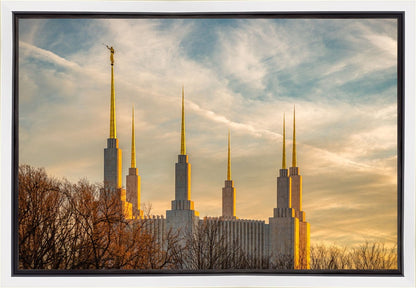 Washington DC Golden Hour