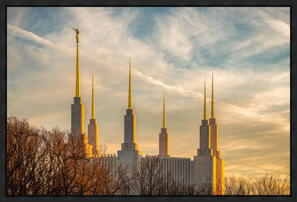 Washington DC Golden Hour