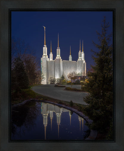 Washington DC Majestic Blue