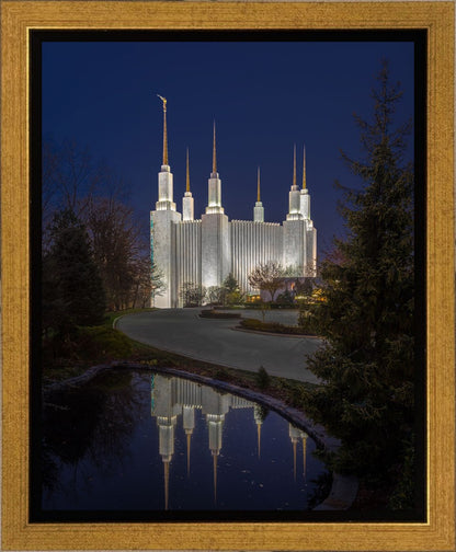 Washington DC Majestic Blue