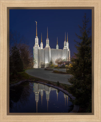 Washington DC Majestic Blue