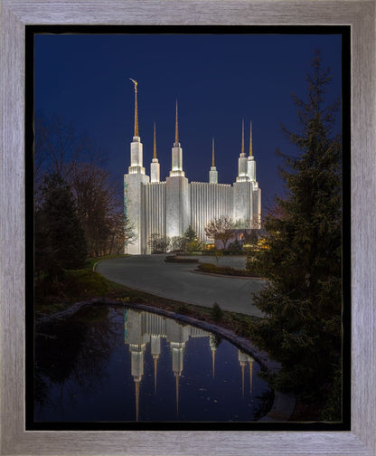 Washington DC Majestic Blue