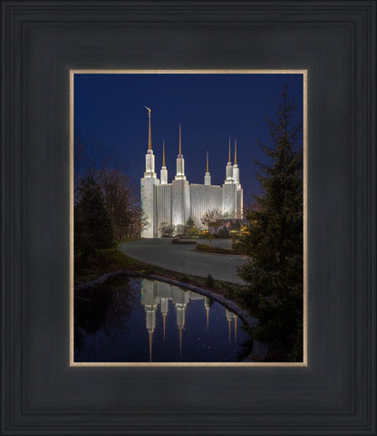 Washington DC Majestic Blue