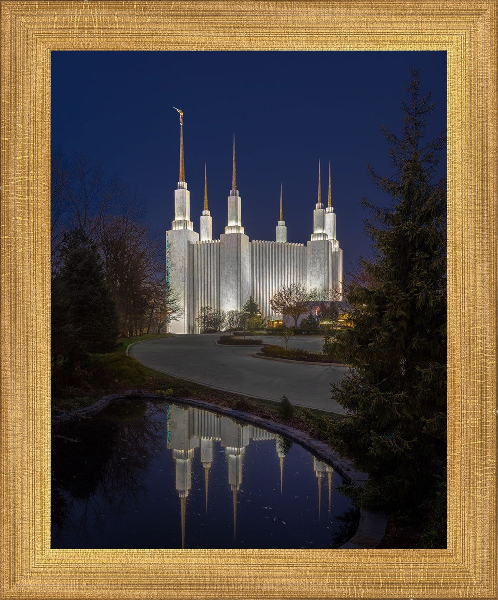 Washington DC Majestic Blue