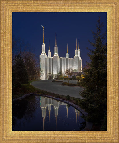 Washington DC Majestic Blue