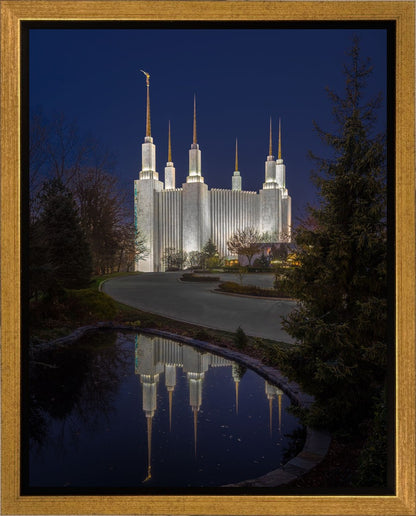 Washington DC Majestic Blue