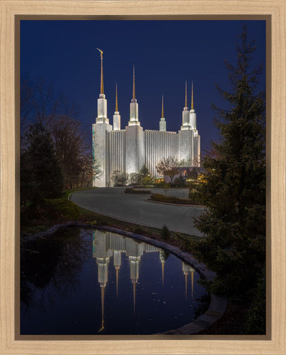 Washington DC Majestic Blue