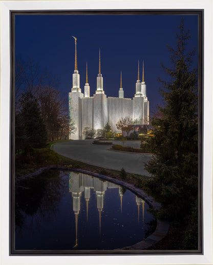 Washington DC Majestic Blue