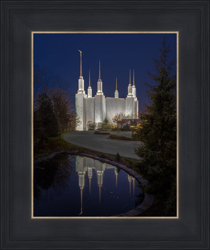 Washington DC Majestic Blue