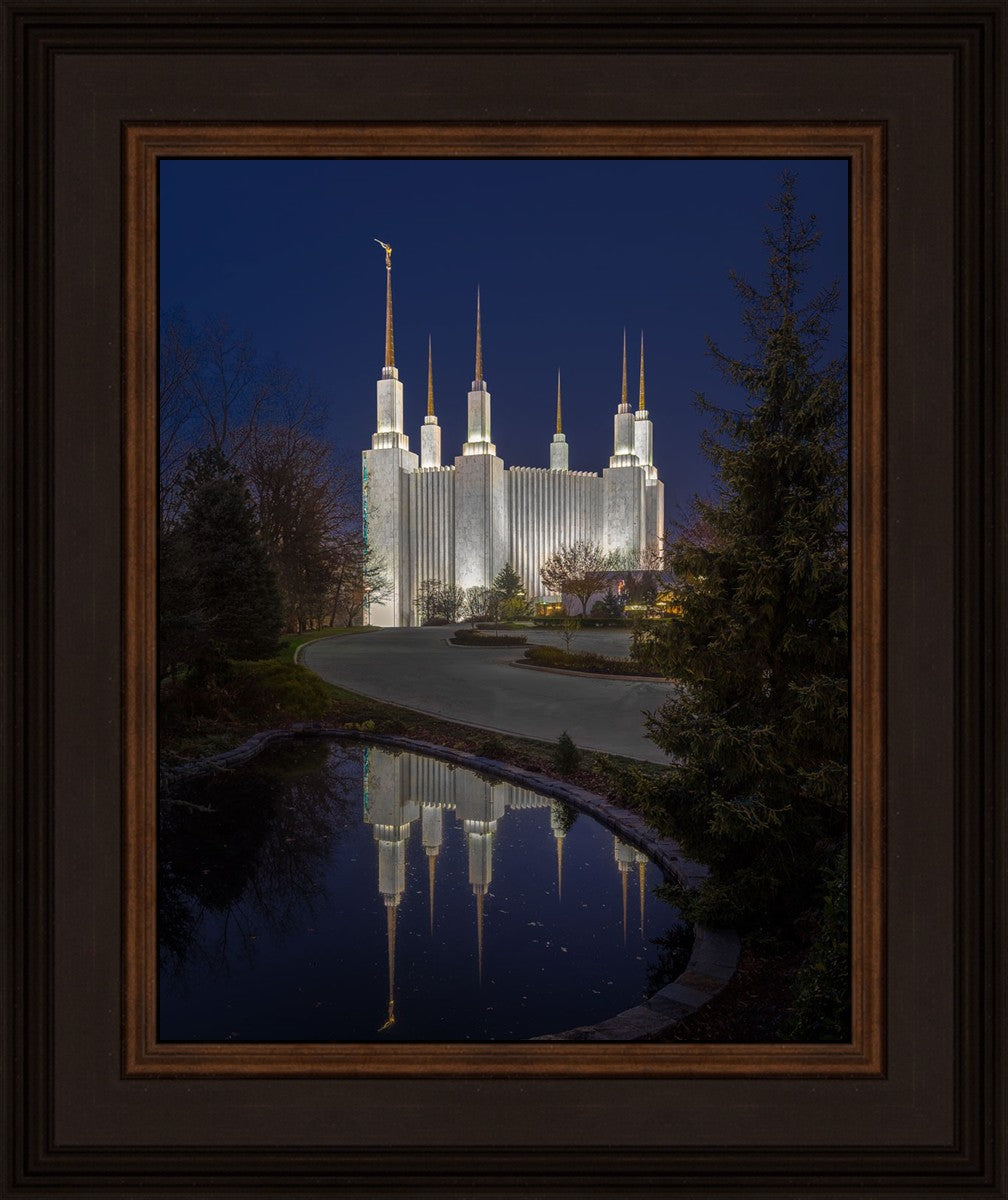 Washington DC Majestic Blue