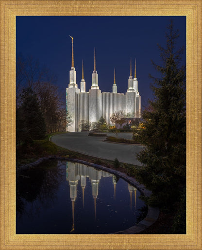 Washington DC Majestic Blue