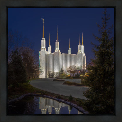 Washington DC Majestic Blue