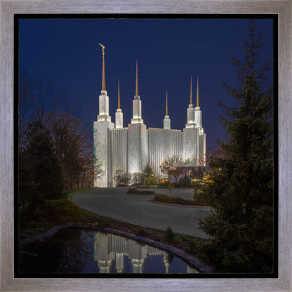 Washington DC Majestic Blue