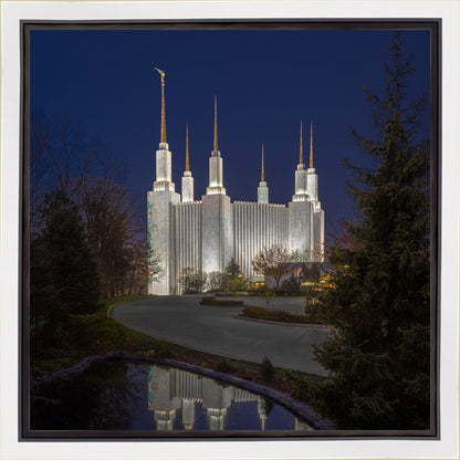 Washington DC Majestic Blue