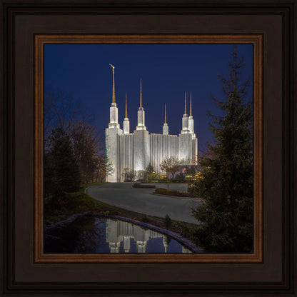 Washington DC Majestic Blue