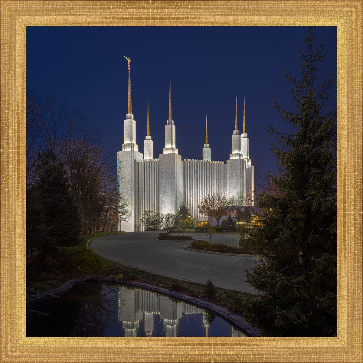 Washington DC Majestic Blue