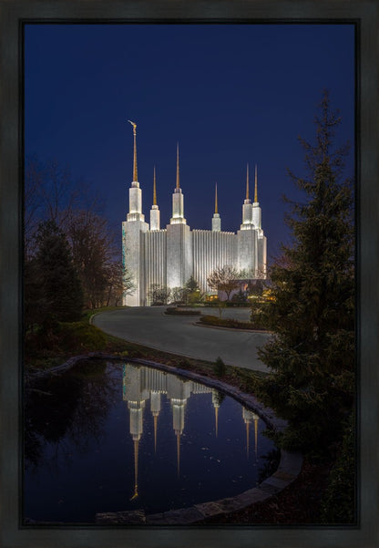 Washington DC Majestic Blue