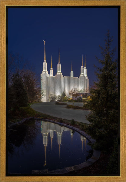 Washington DC Majestic Blue