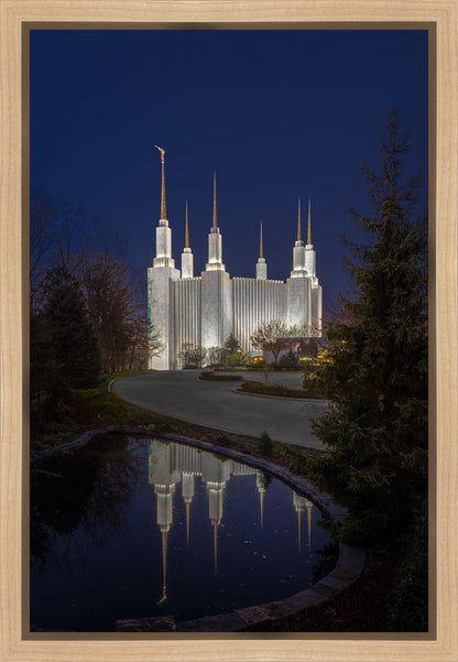 Washington DC Majestic Blue