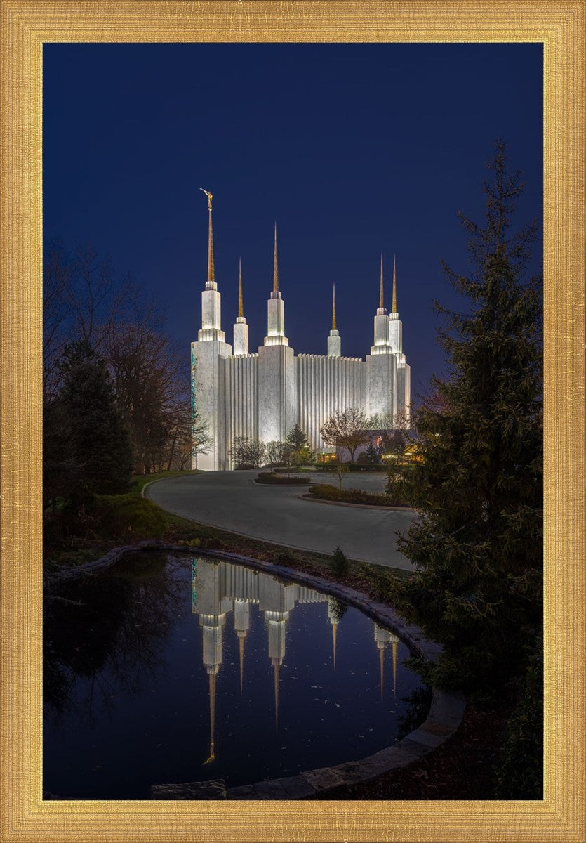 Washington DC Majestic Blue