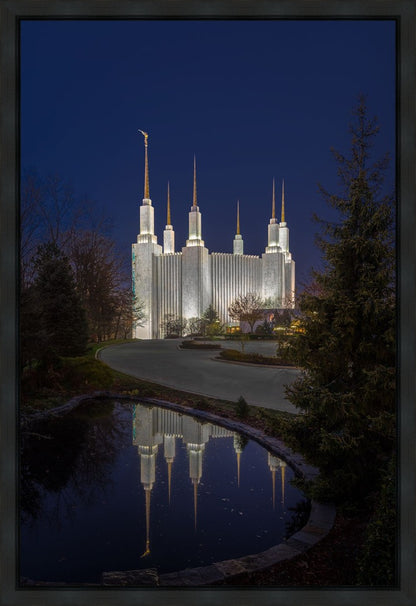 Washington DC Majestic Blue