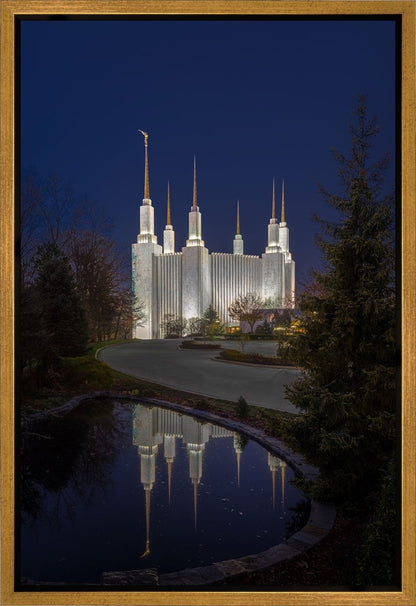 Washington DC Majestic Blue