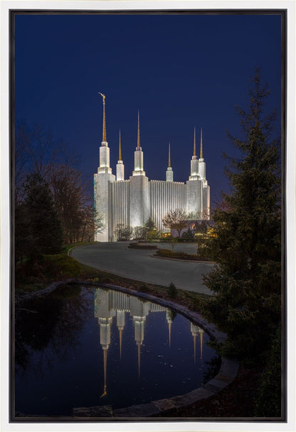 Washington DC Majestic Blue