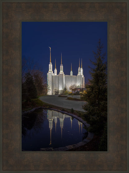 Washington DC Majestic Blue