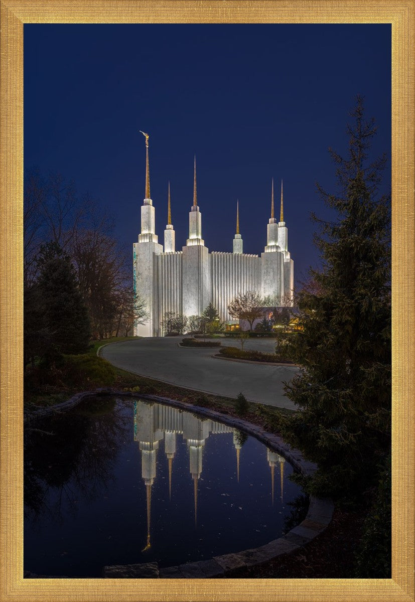 Washington DC Majestic Blue