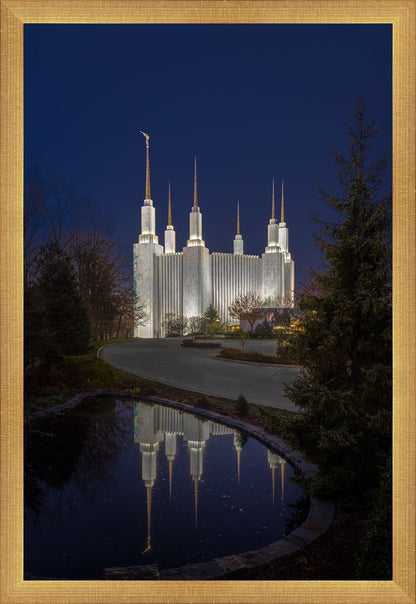 Washington DC Majestic Blue