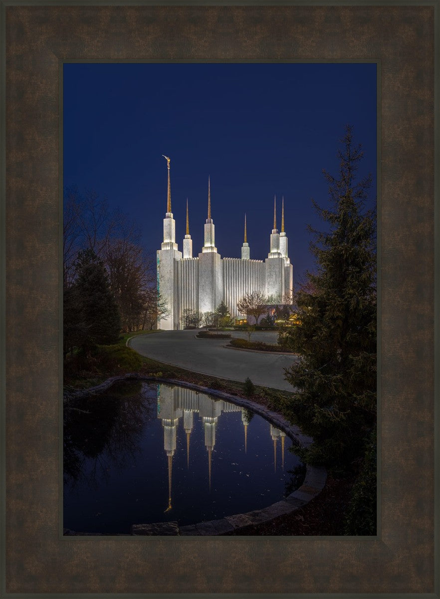 Washington DC Majestic Blue