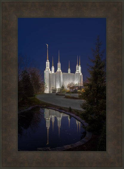 Washington DC Majestic Blue