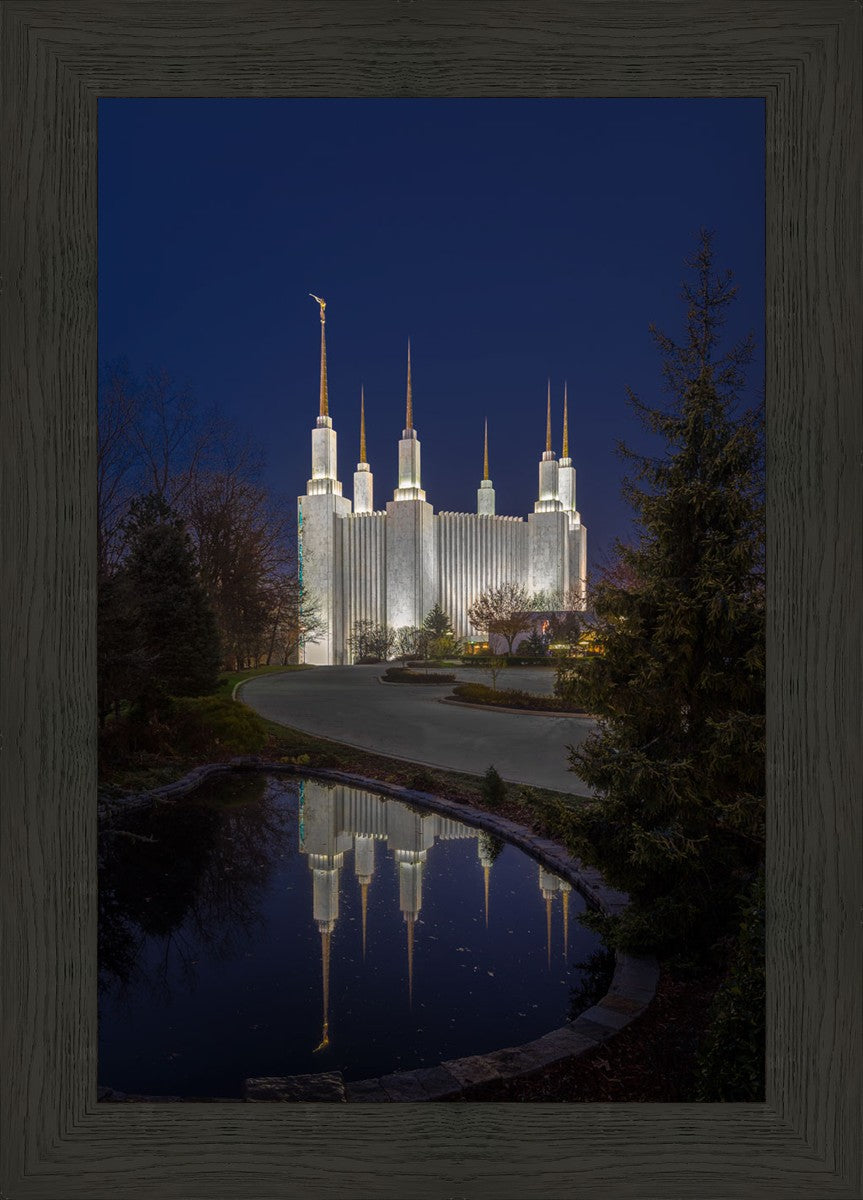 Washington DC Majestic Blue