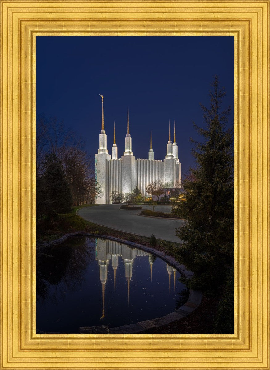 Washington DC Majestic Blue