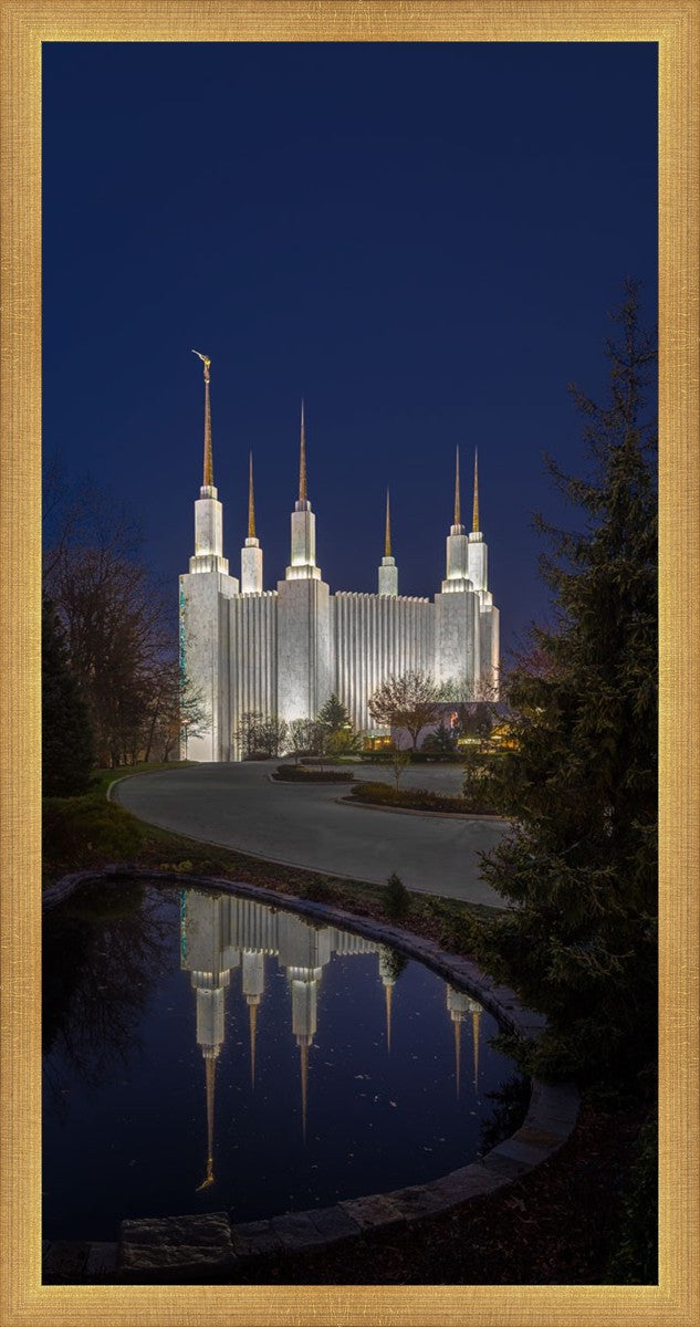 Washington DC Majestic Blue